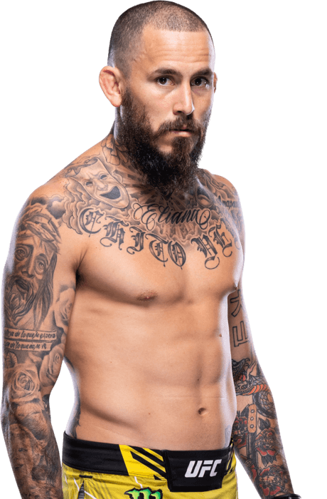 ufc 299 베라