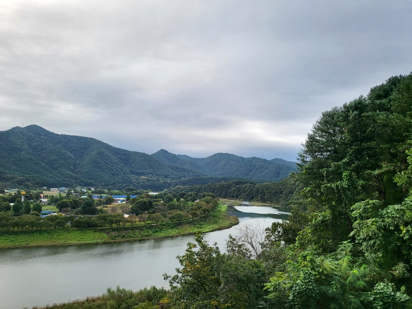 강릉루이식당 돈카츠