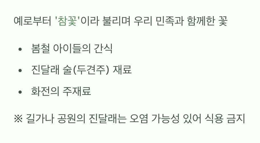 먹을 수 있는 아름다운 꽃, 참꽃