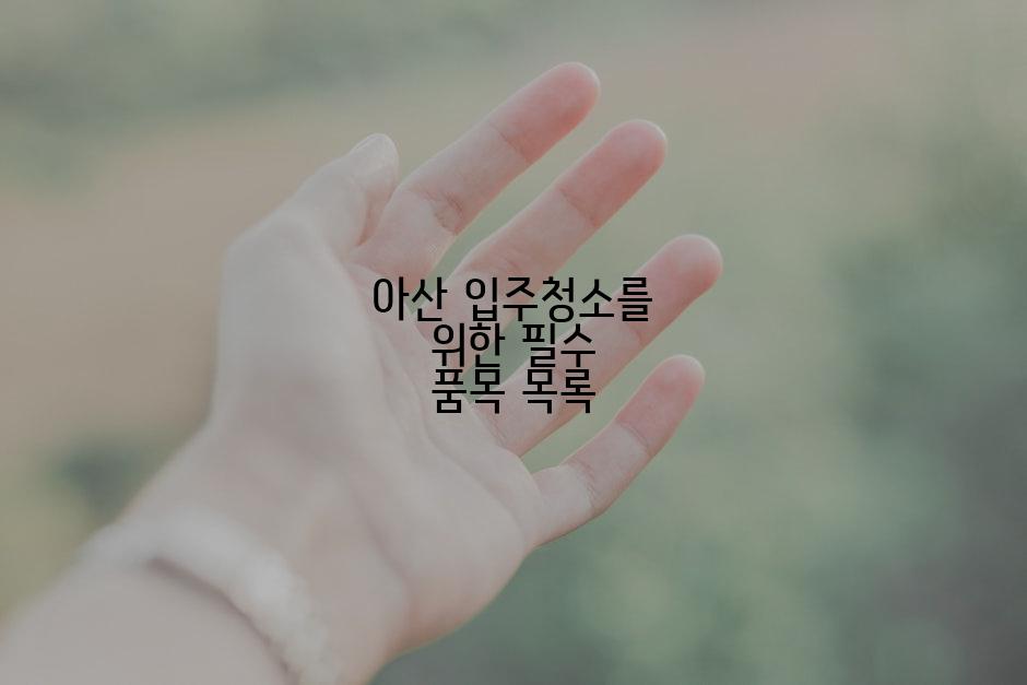 아산 입주청소를 위한 필수 품목 목록