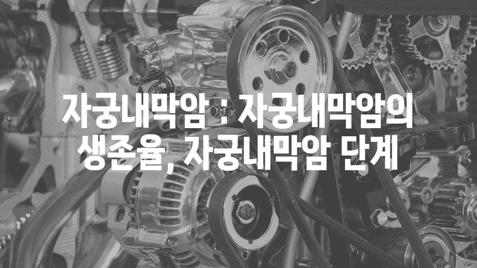 샘플 (59)