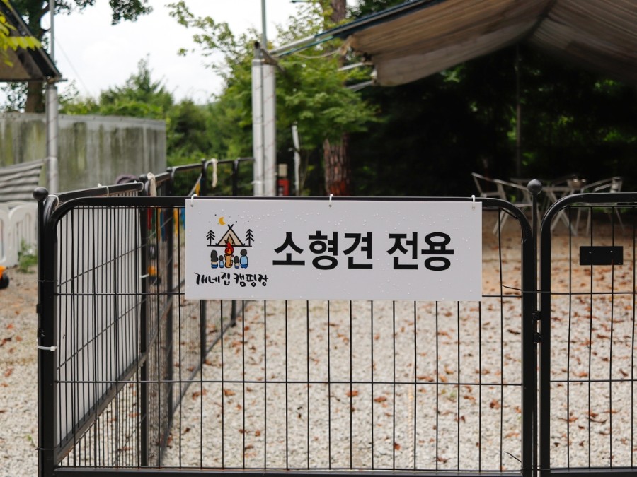 [경기] 양주 : 개네집캠핑장 (애견동반가능)