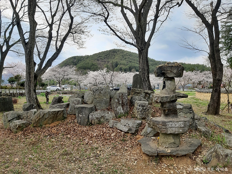 장산숲