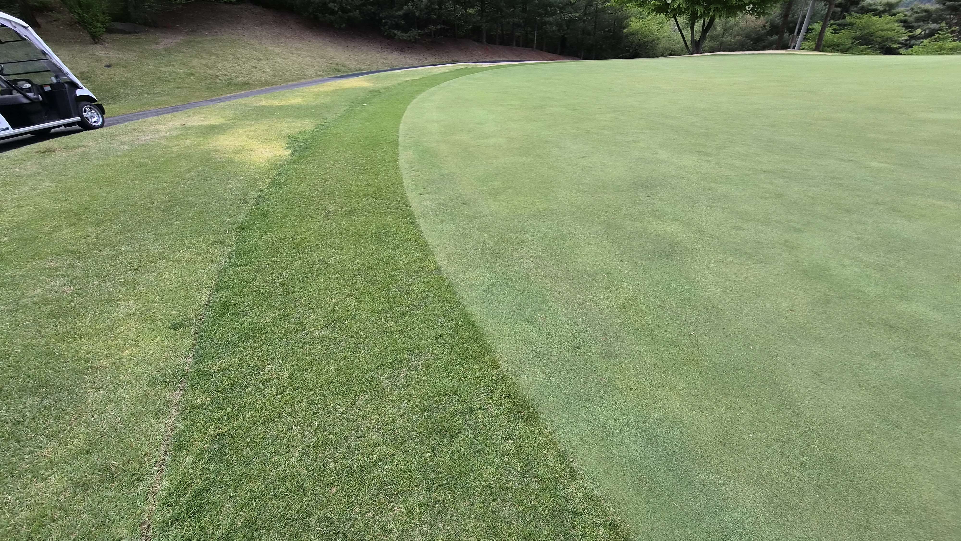 포웰cc 프린세스 라운드 후기