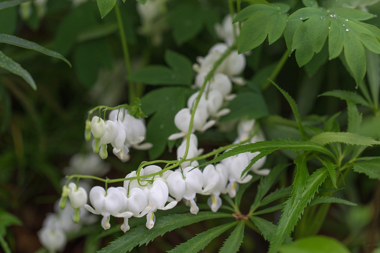 국립수목원 사전 예약