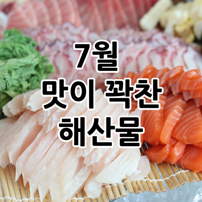 7월 제철회 해산물 여름 회 추천 6종류