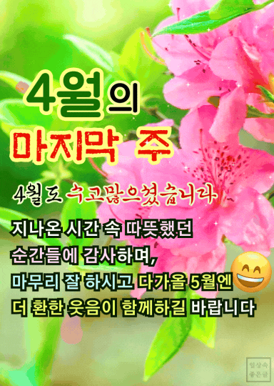 진분홍 철쭉꽃과 함께 4월 마지막 주의 감사 인사와 미소의 메시지