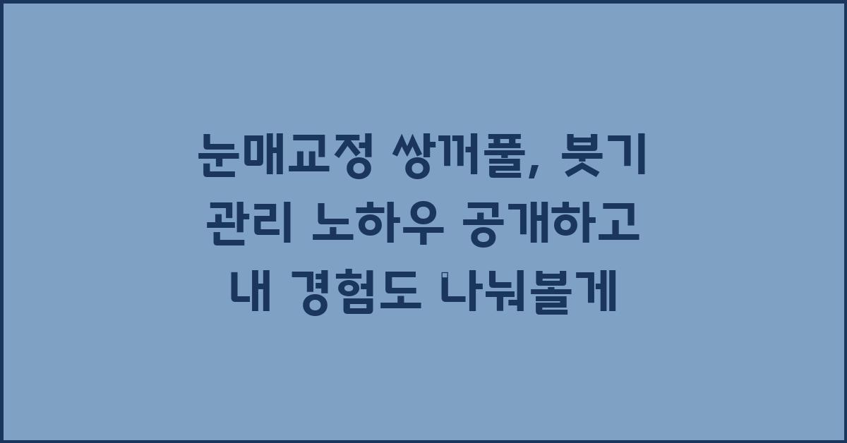눈매교정 쌍꺼풀, 붓기 관리 노하우 공개