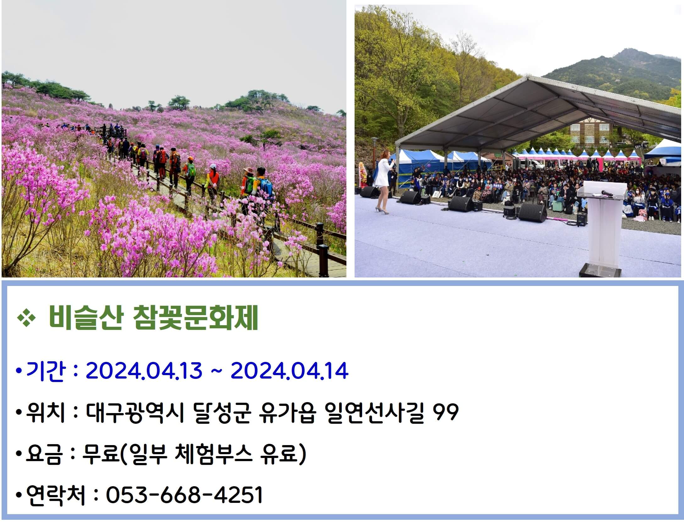 비슬산 참꽃문화제