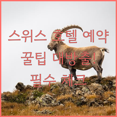 스위스 호텔 예약 전 필수 체크사항