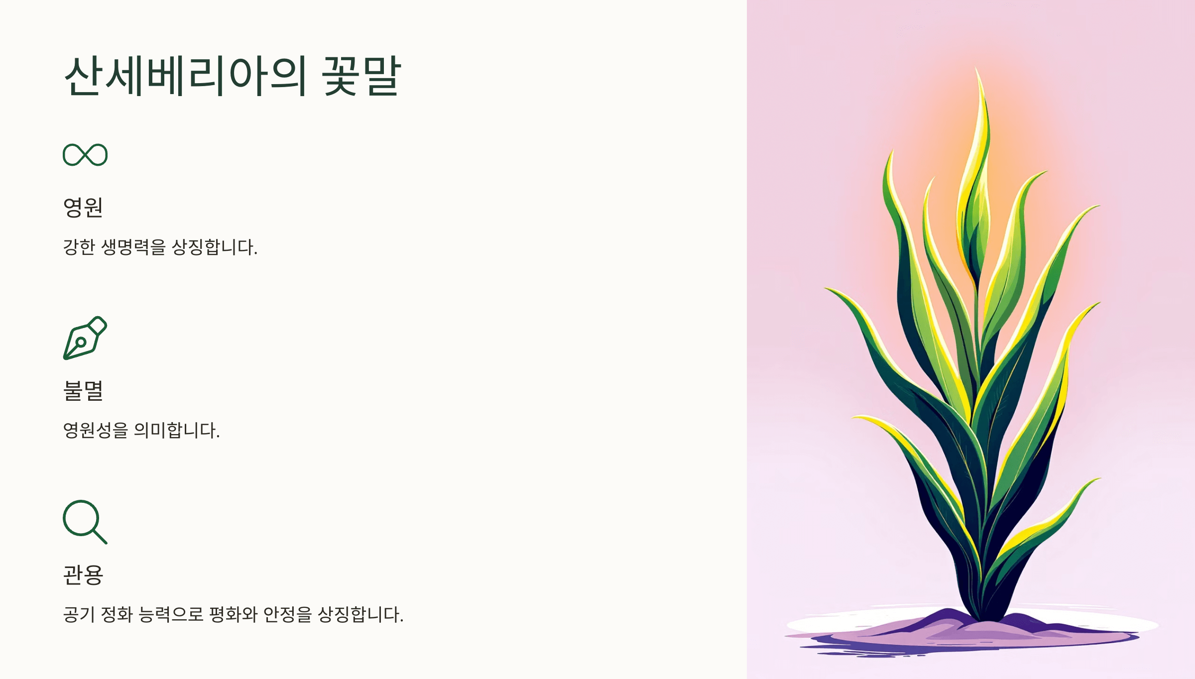 산세베리아 사진입니다.