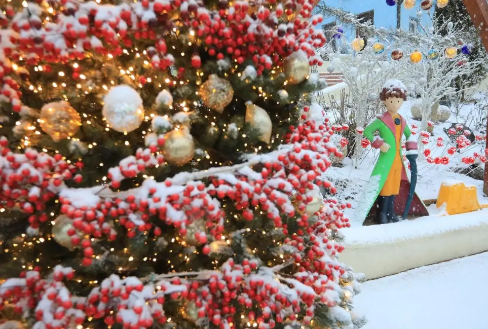 겨울 여행지 추천 쁘띠프랑스