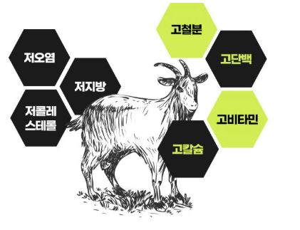 흑염소-진액-효능