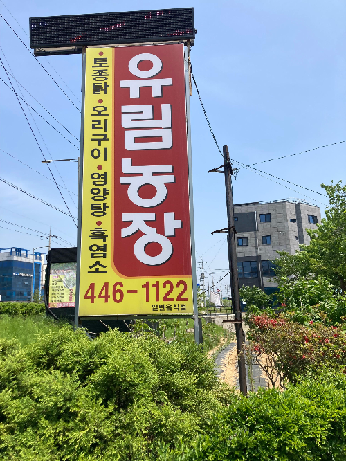 인천 초복, 중복, 말복 맛집 유림농장 옻오리 후기