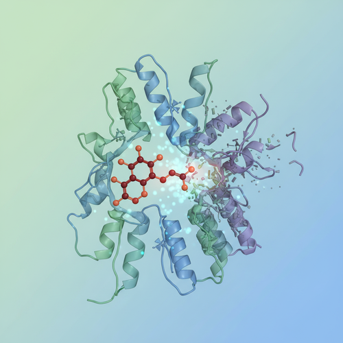 피타바스타틴 항암 효과&amp;#44; Mcl-1 단백질 억제로 증명되다