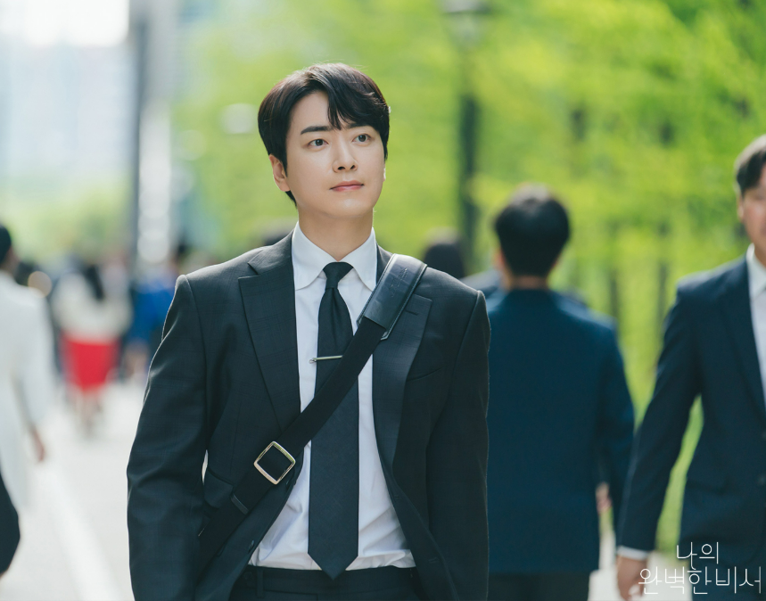 나의 완벽한 비서