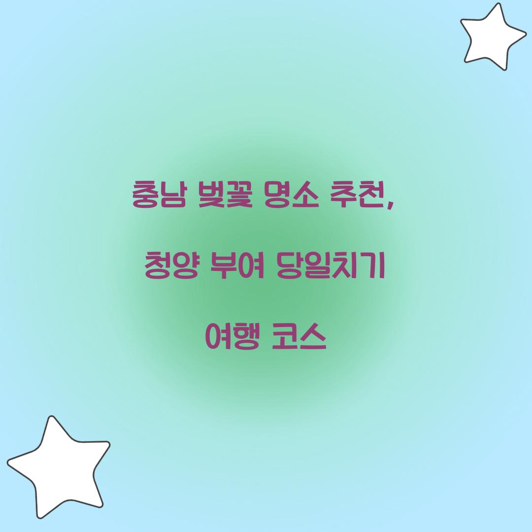 충남 벚꽃 명소 추천