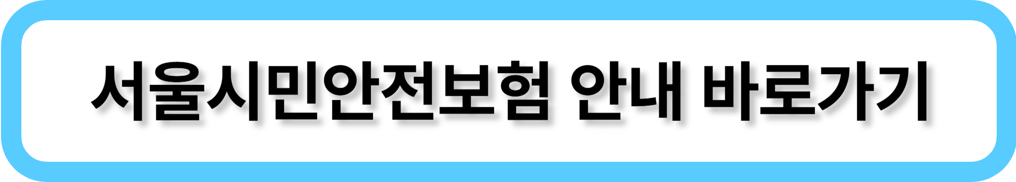 서울시민안전보험