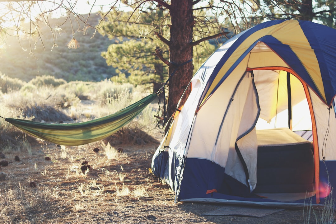 Camping gear.