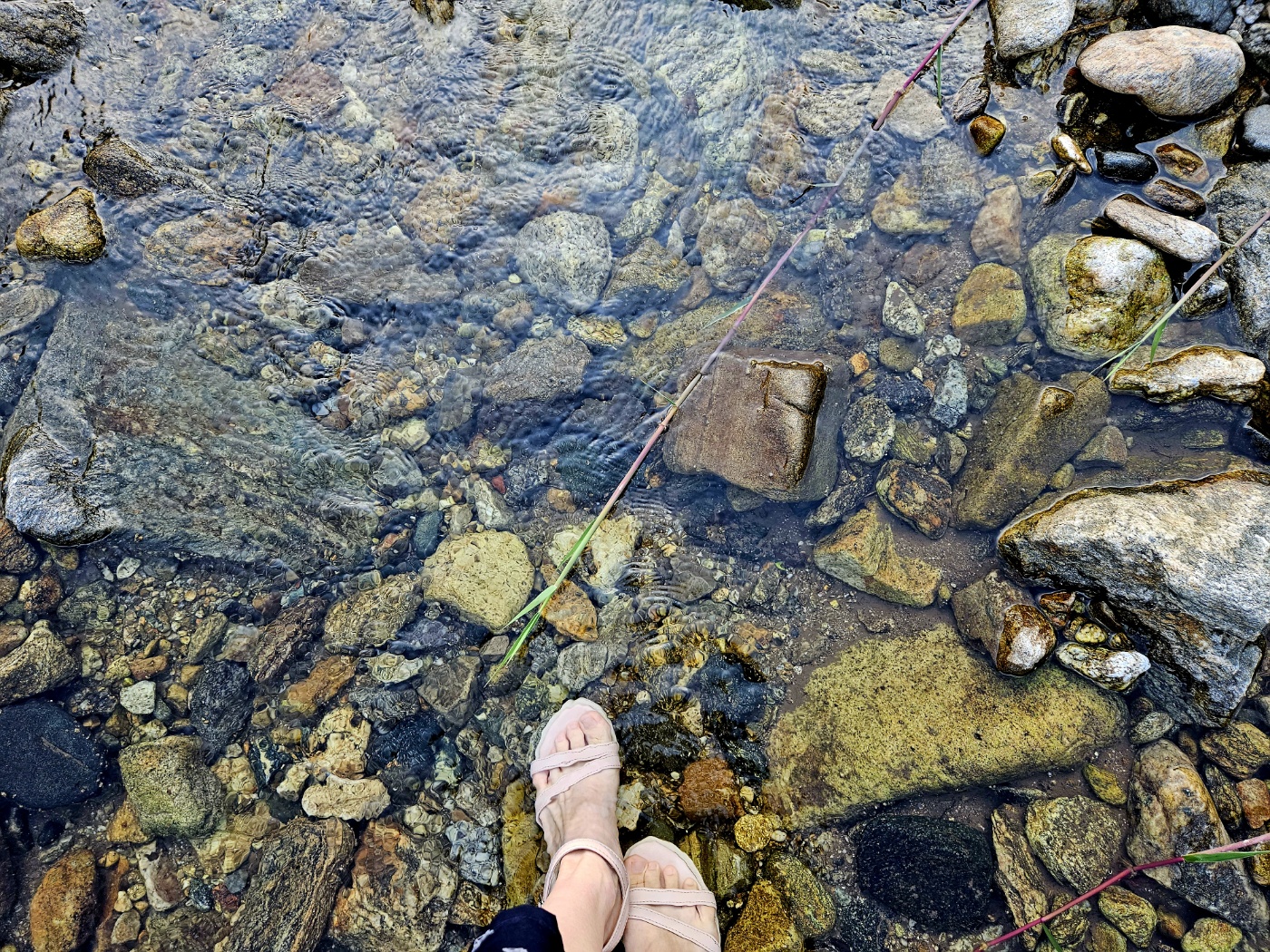 시크릿문 펜션 옆 계곡