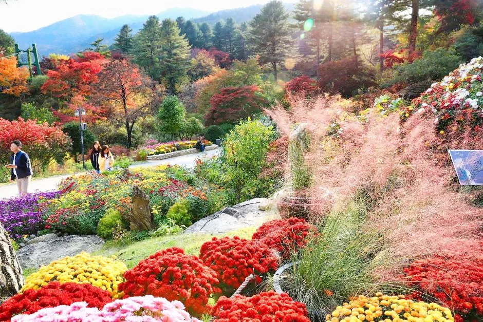 아침고요수목원