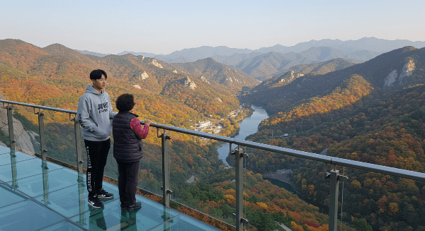 가을 기차여행 사진 17