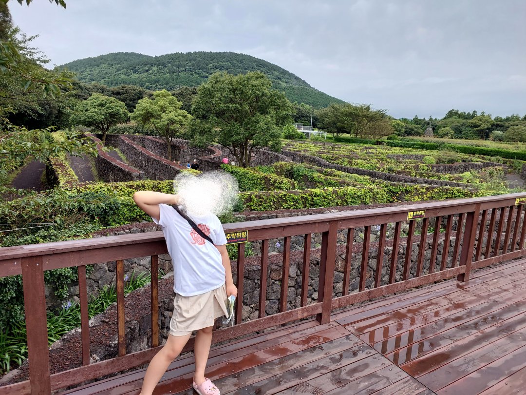 메이즈랜드