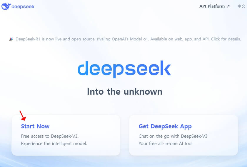 딥시크 뜻과 사용방법, 접속한 화면