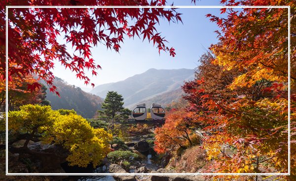 화담숲 모노레일 이미지/출처: 화담숲 홈페이지