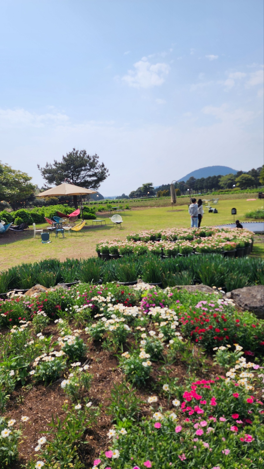 제주도 정원 카페 추천 - 자연과 조화를 이룬 감성 공간&amp;#44; 카페 글렌코