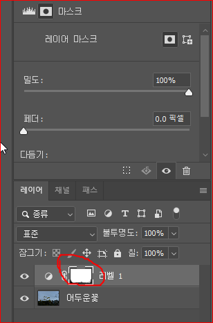 레이어마스크