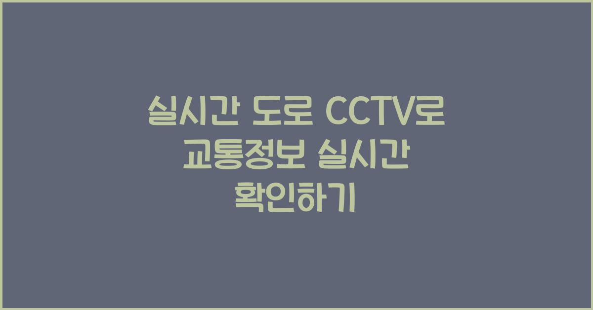 실시간 도로 cctv