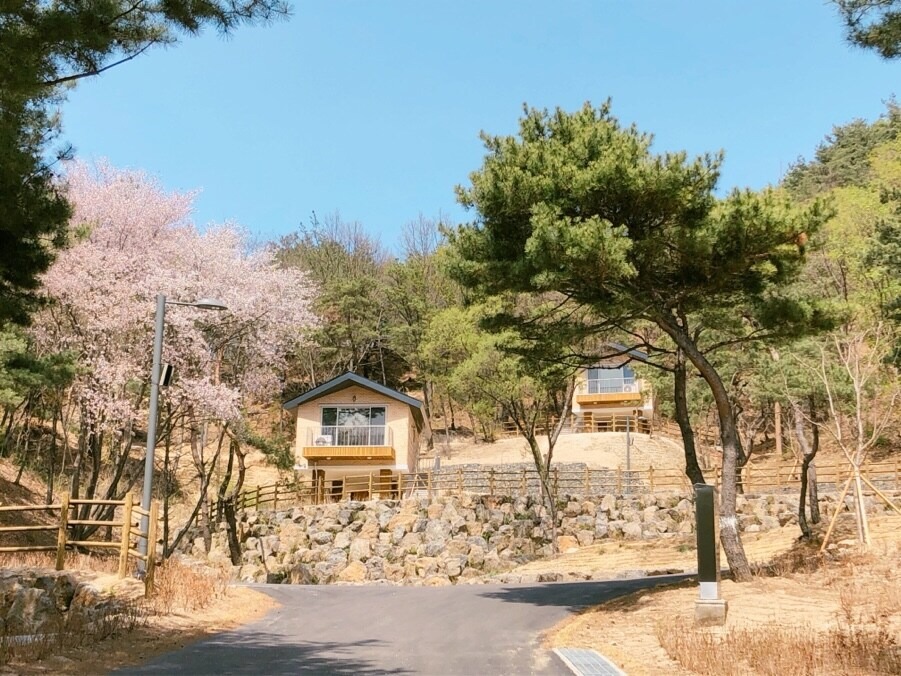철원 두루웰 숲속문화촌