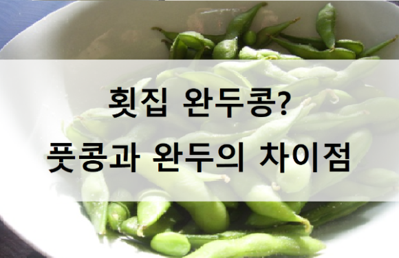 횟집 완두콩? 풋콩과 완두의 차이점과 특징
