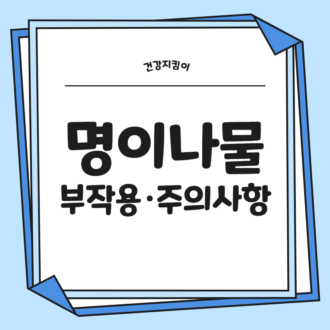 명이나물 효능 부작용 고르는법 영양성분 먹는법