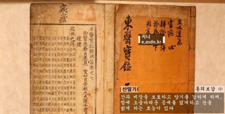 산딸기 효능 9가지와 부작용 총정리