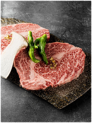 이정태수제갈비