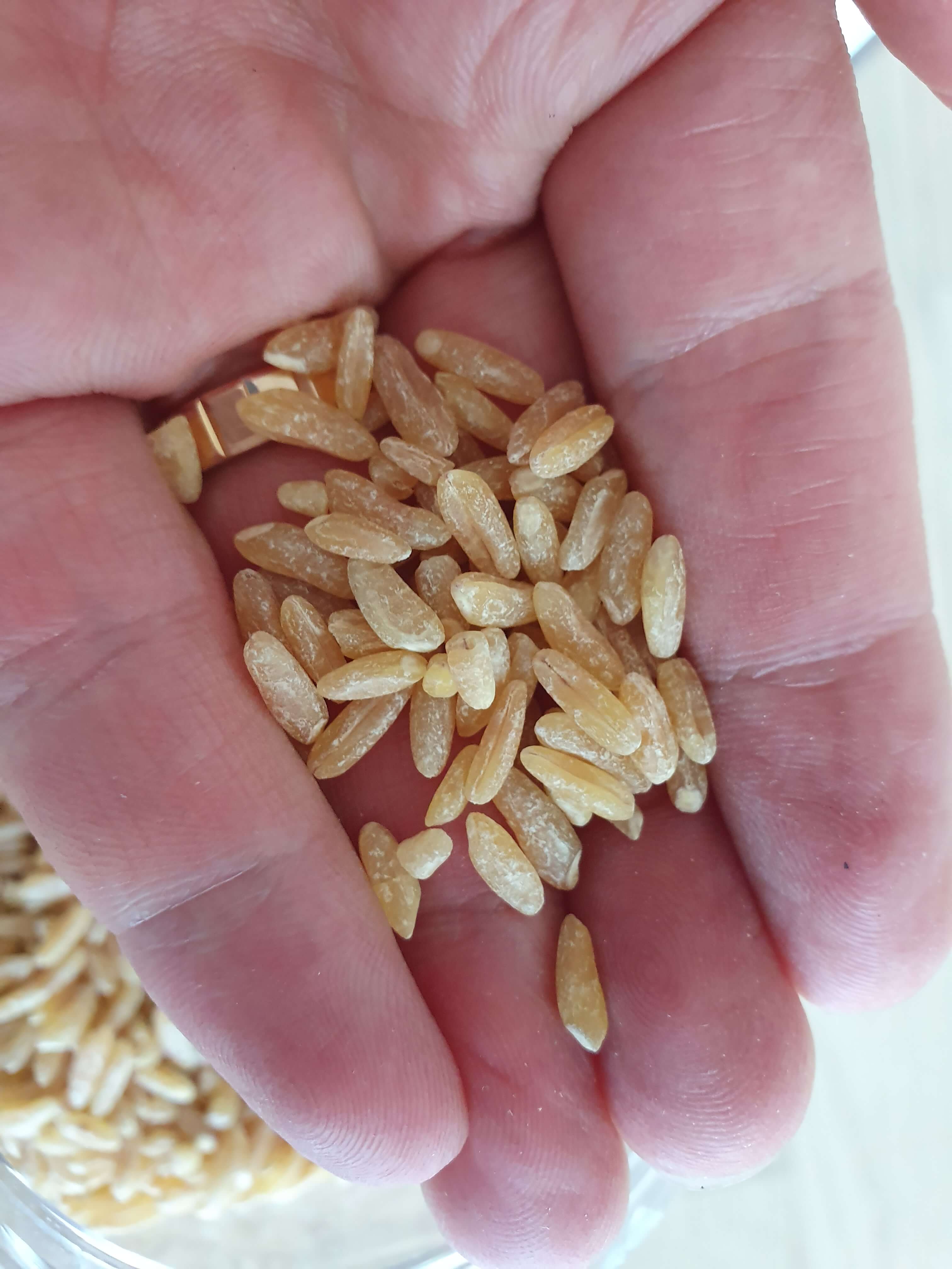 카무트-쌀-크기