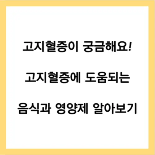 고지혈증 궁금증