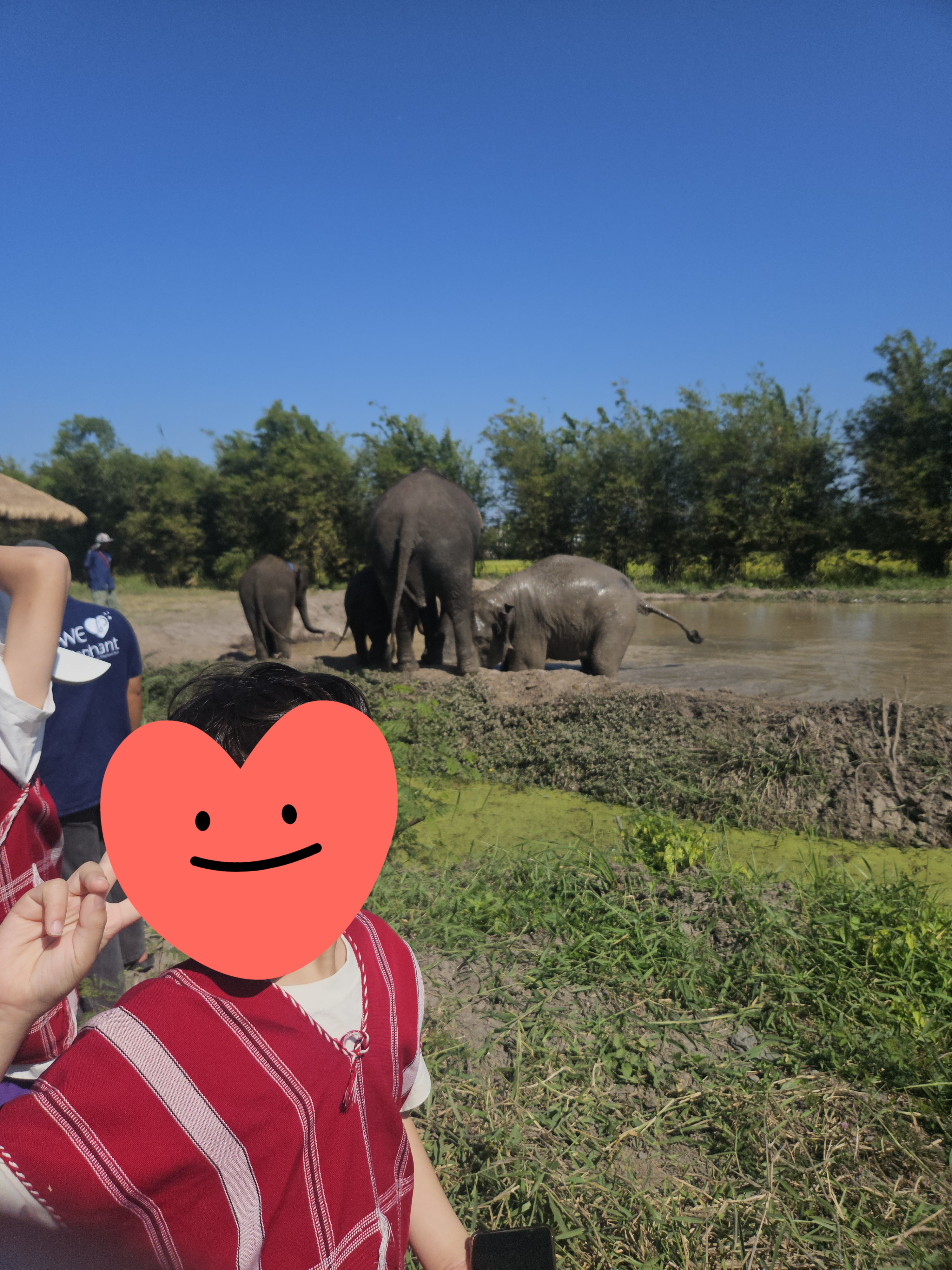 방콕 엘리펀트 파크