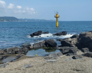 차크닉명소
