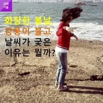 봄철 강풍 꽃가루 농도 알레르기 마스크 관리_22
