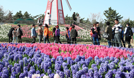 태안 세계 튤립 꽃박람회