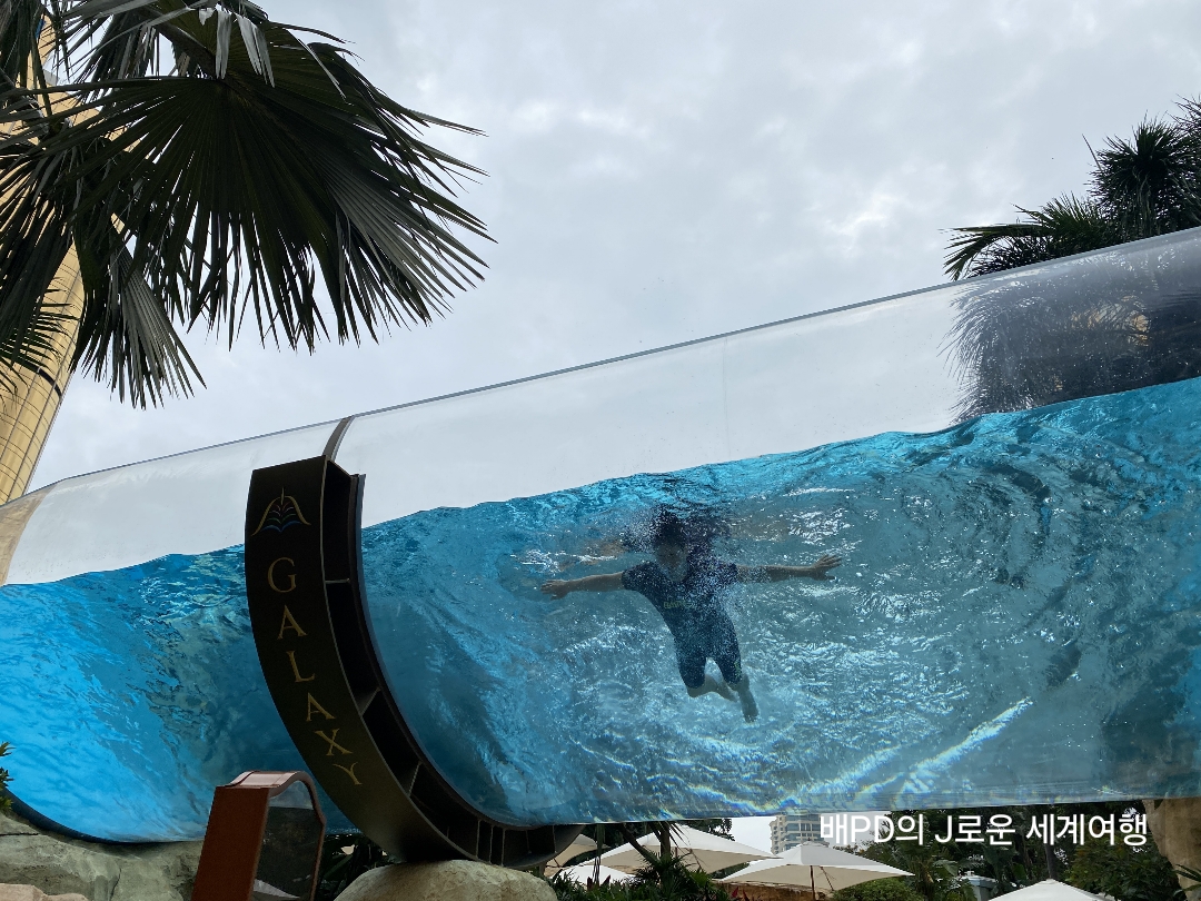 마카오 갤럭시호텔 수영장 인생샷