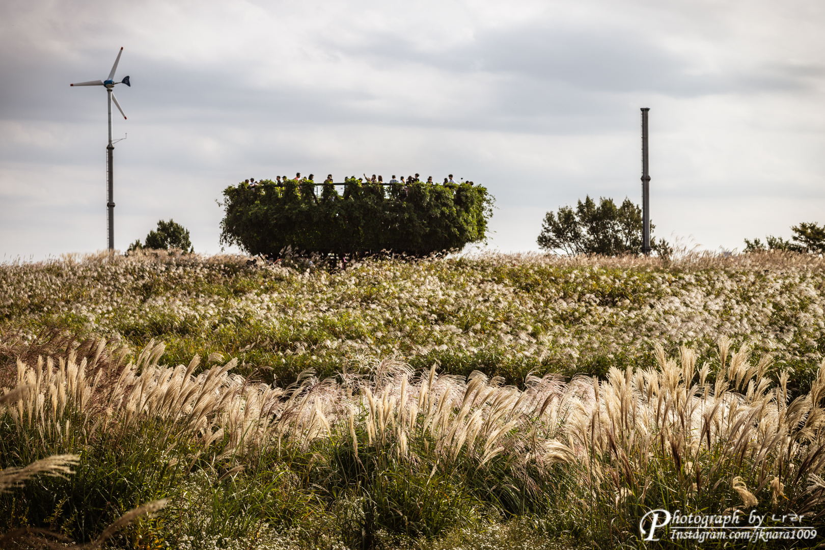 하늘공원 전망대