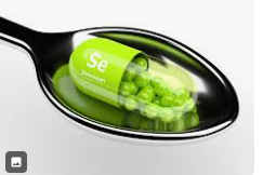 셀레늄(Selenium)23