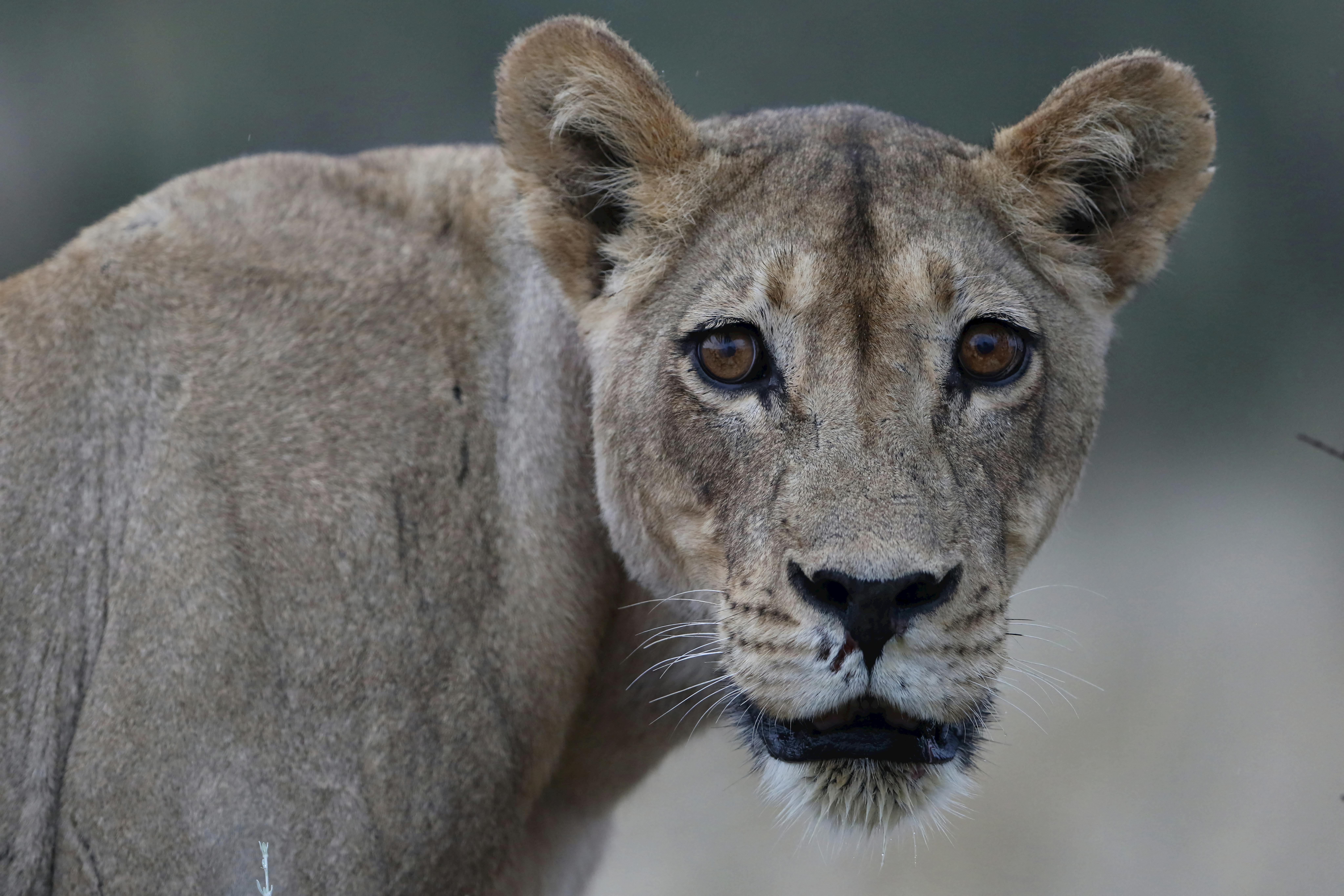 화장실에서 울었던을 상징하는 이미지