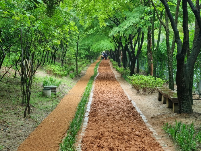 황톳길