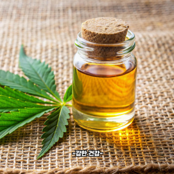 대마 종자유 먹는 방법