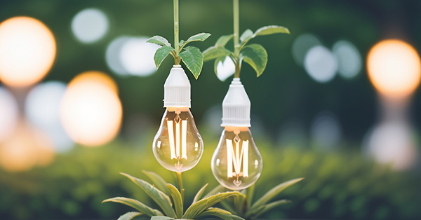 탄소중립포인트